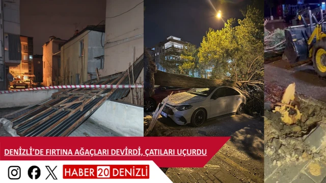 Denizli’de fırtına ağaçları devirdi, çatıları uçurdu
