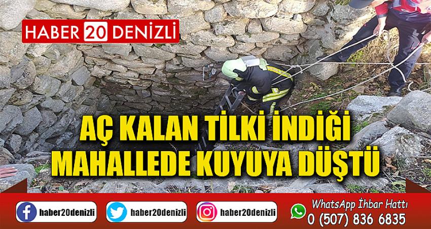 Aç kalan tilki indiği mahallede kuyuya düştü