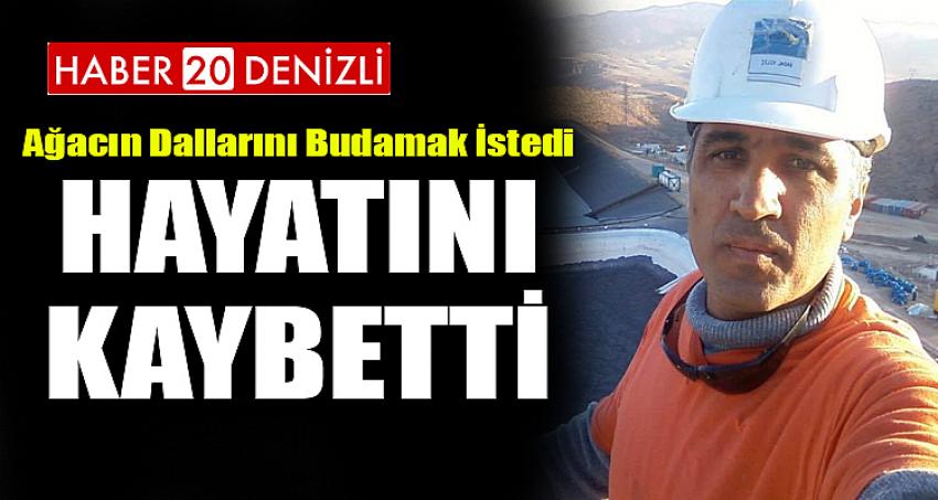 AĞACIN DALLARINI BUDAMAK İSTEDİ... HAYATINI KAYBETTİ