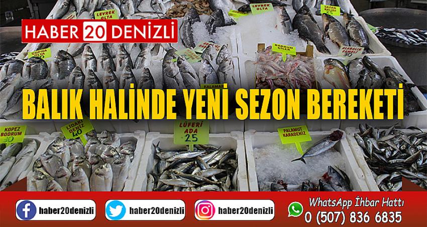 Balık halinde yeni sezon bereketi