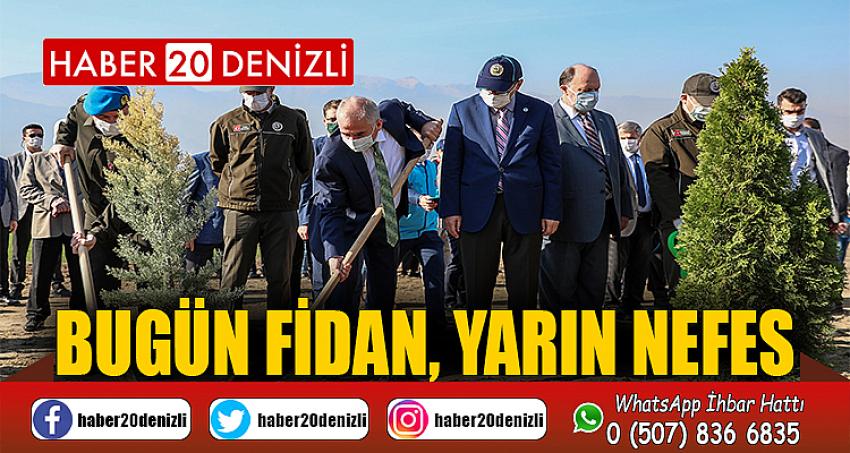 Denizli’de 31.900 fidan toprakla buluşuyor