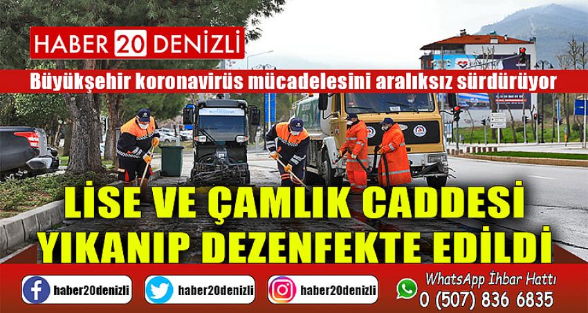 Lise ve Çamlık Caddesi yıkanıp dezenfekte edildi