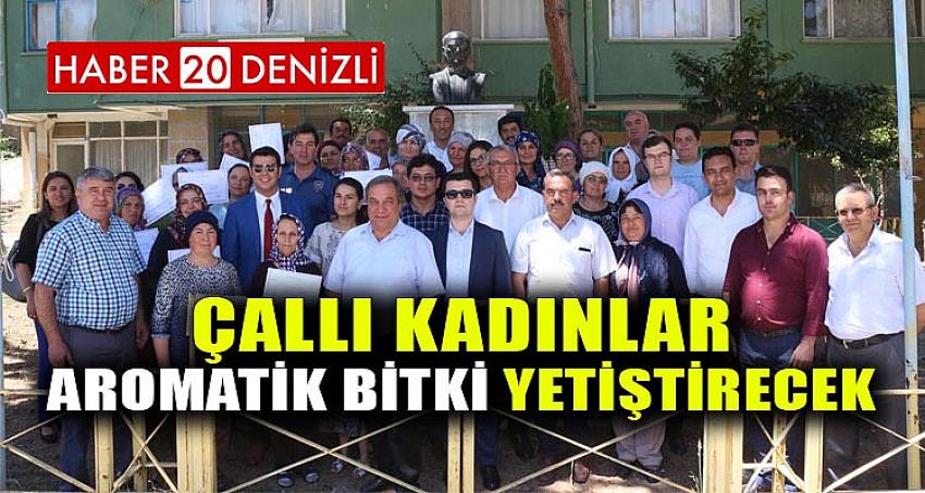 ÇALLI KADINLAR AROMATİK BİTKİ YETİŞTİRECEK