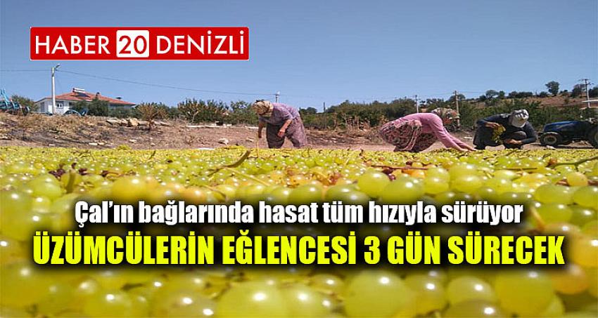 ÜZÜMCÜLERİN EĞLENCESİ 3 GÜN SÜRECEK