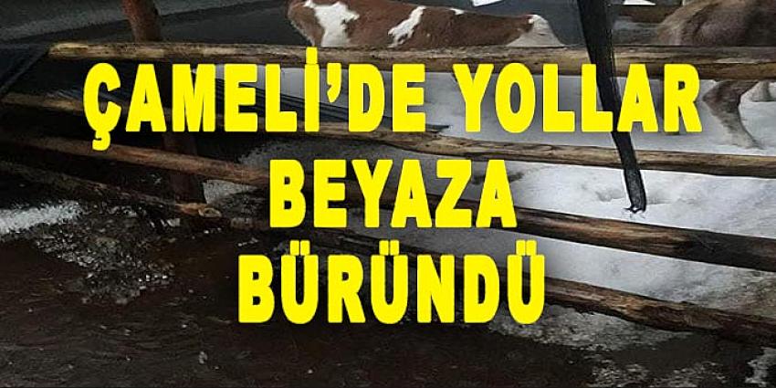 ÇAMELİ'DE YOLLAR BEYAZA BÜRÜNDÜ