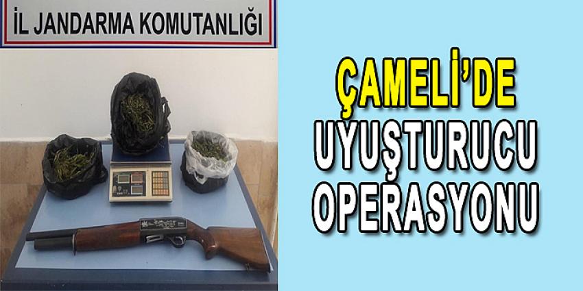 ÇAMELİ’DE UYUŞTURUCU OPERASYONU