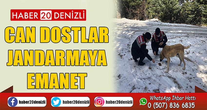 Can Dostlar Jandarmaya Emanet