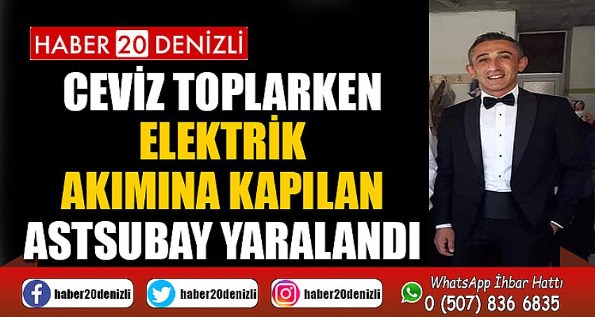 Ceviz toplarken elektrik akımına kapılan astsubay yaralandı