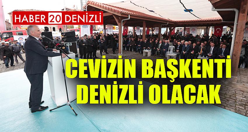 Cevizin başkenti Denizli olacak