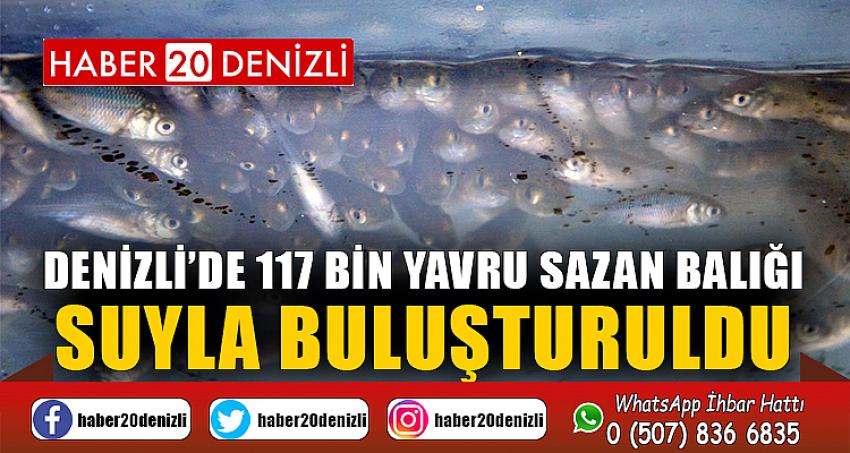 Denizli’de 117 bin yavru sazan balığı suyla buluşturuldu