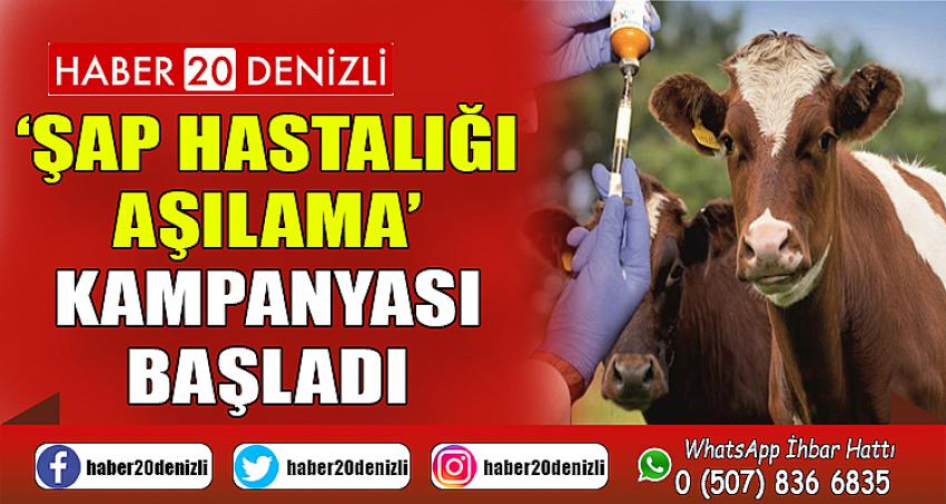 Denizli'de ‘Şap Hastalığı Aşılama’ kampanyası başladı