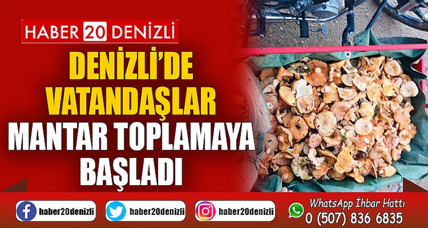 Denizli’de vatandaşlar mantar toplamaya başladı