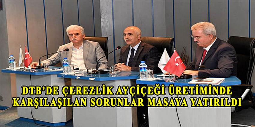 DTB’de Çerezlik Ayçiçeği Üretiminde Karşılaşılan Sorunlar Masaya Yatırıldı