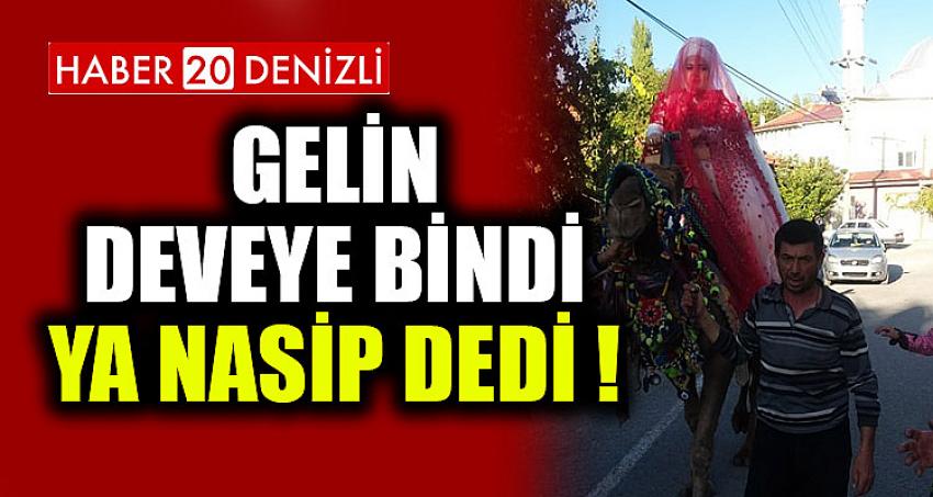 Gelin Deveye Bindi Ya Nasip Dedi!