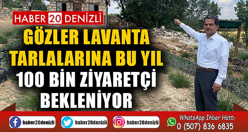 Gözler lavanta tarlalarına bu yıl 100 bin ziyaretçi bekleniyor