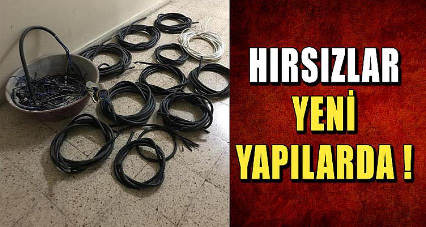 HIRSIZLAR YENİ YAPILARDA ! 