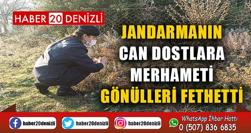 Jandarmanın can dostlara merhameti gönülleri fethetti