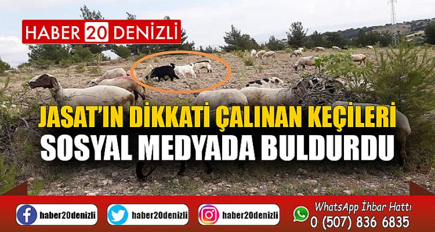 JASAT’ın dikkati çalınan keçileri sosyal medyada buldurdu