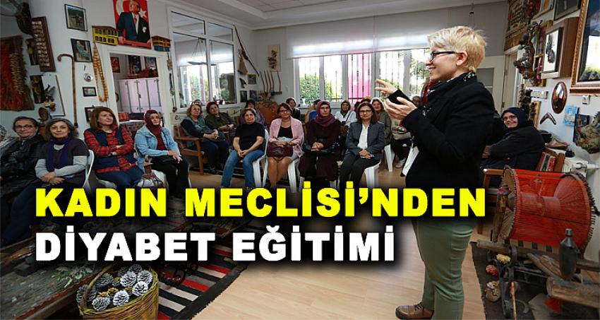 KADIN MECLİSİ'NDEN DİYABET EĞİTİMİ