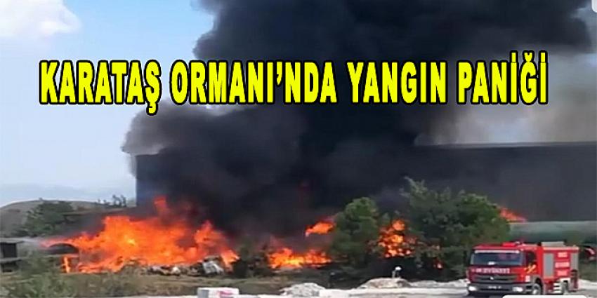 KARATAŞ ORMANI'NDA YANGIN PANİĞİ