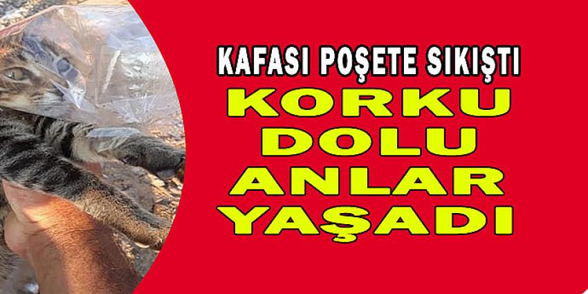 KORKU DOLU ANLAR YAŞADI