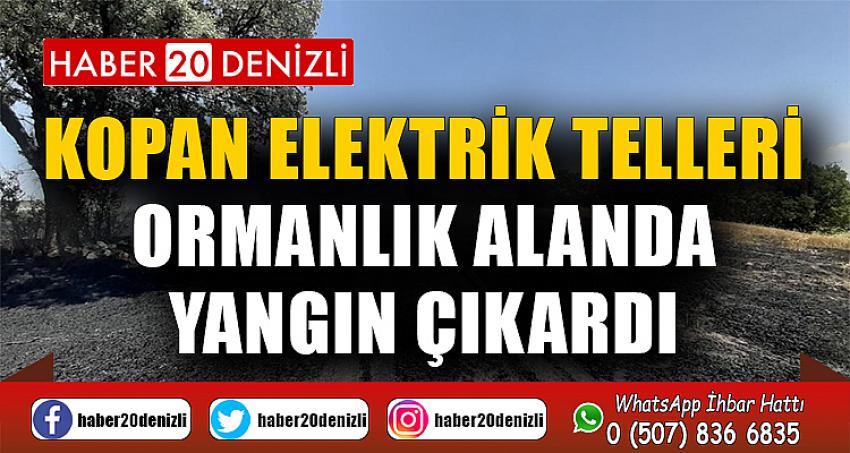 Kopan elektrik telleri ormanlık alanda yangın çıkardı