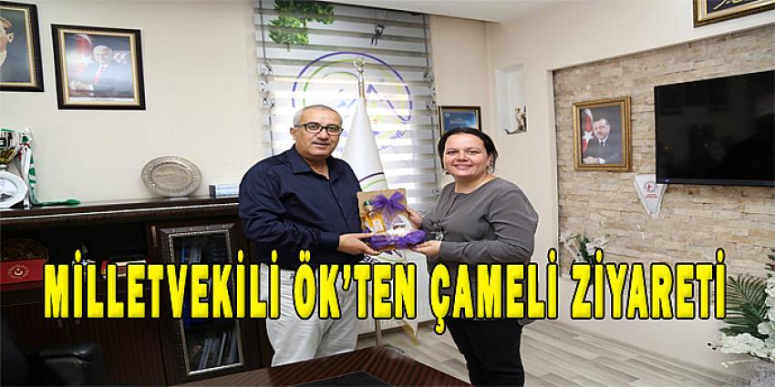 MİLLETVEKİLİ ÖK'TEN ÇAMELİ ZİYARETİ