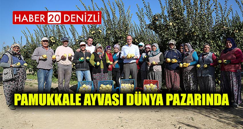 PAMUKKALE AYVASI DÜNYA PAZARINDA