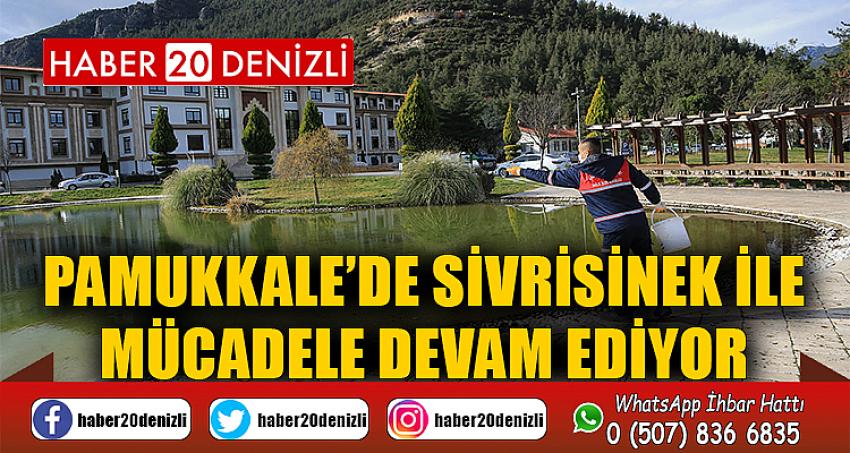 PAMUKKALE’DE SİVRİSİNEK İLE MÜCADELE DEVAM EDİYOR