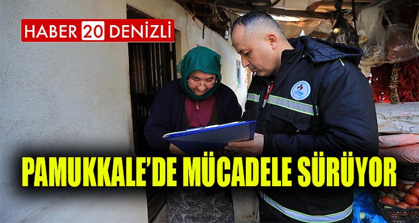 PAMUKKALE’DE SİVRİSİNEKLE MÜCADELE SÜRÜYOR