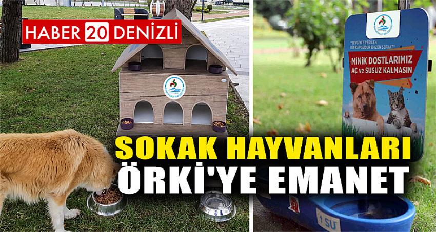 SOKAK HAYVANLARI ÖRKİ'YE EMANET