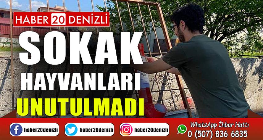 Sokak hayvanları unutulmadı