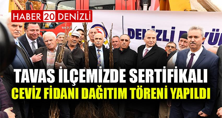 Tavas İlçemizde Sertifikalı Ceviz Fidanı Dağıtım Töreni Yapıldı