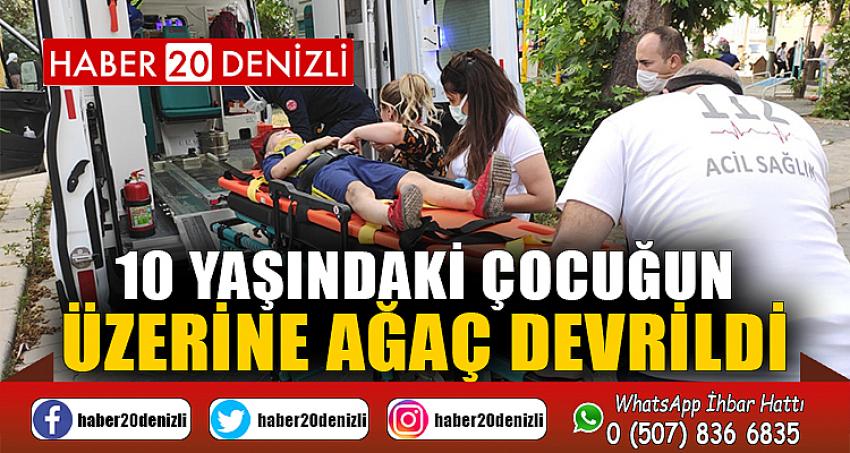 Üzerine ağaç devrildi, iğneden korktuğu için ambulansa binmedi