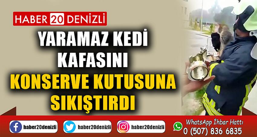 Yaramaz kedi kafasını konserve kutusuna sıkıştırdı