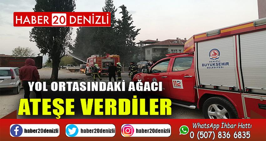 Yol ortasındaki ağacı ateşe verdiler