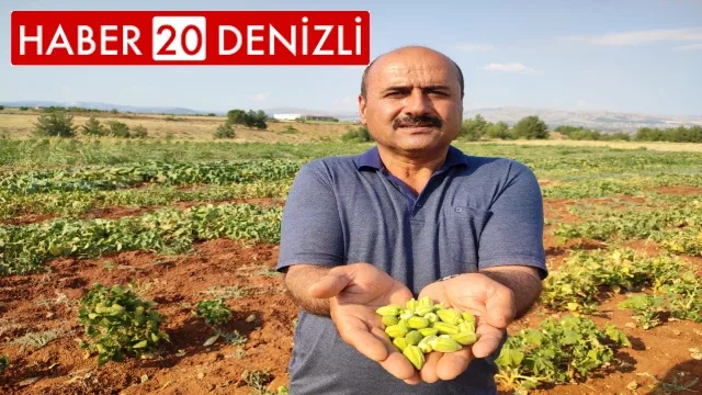 Çal bamyasının tescillenmesi için çalışma başlatıldı