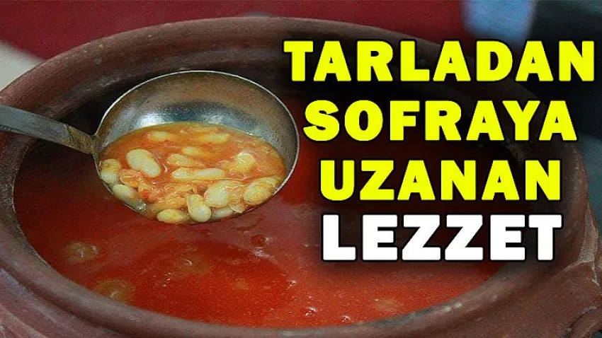 Tarladan Sofraya Uzanan Lezzet