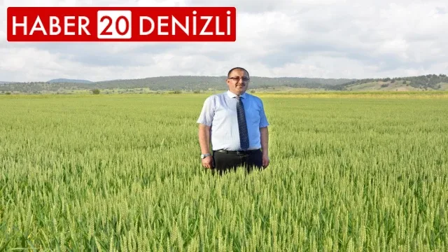 Yağışlar arpa ve buğday üreticilerinin yüzünü güldürdü