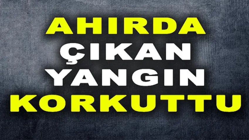 Ahırda Çıkan Yangın Korkuttu