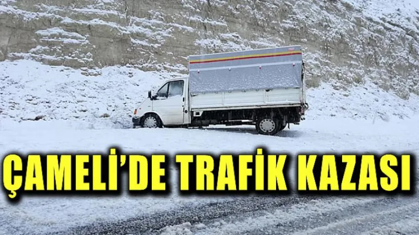 Çameli'de Trafik Kazası