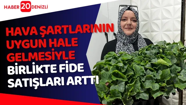 Hava şartlarının uygun hale gelmesiyle birlikte fide satışları arttı