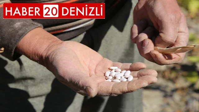 Çameli'den bu yıl 800 milyonluk tarımsal üretim yapıldı