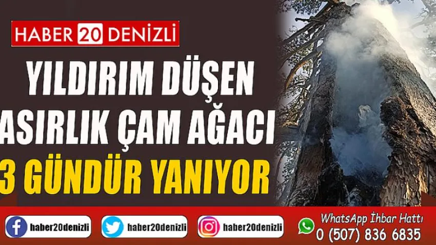 Yıldırım düşen asırlık çam ağacı 3 gündür yanıyor
