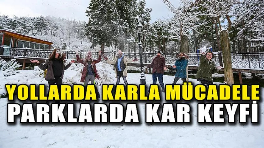 Yollarda karla mücadele, Parklarda kar keyfi