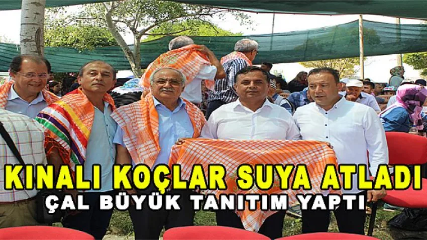 Kınalı Koçlar Suya Atladı