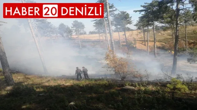 Sonbaharda çıkan orman yangını büyümeden söndürüldü