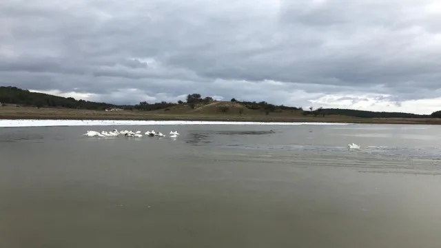 Kısmen buz tutan gölün keyfini kazlar çıkardı