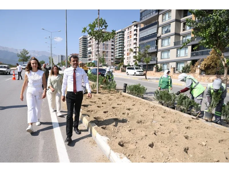Denizli’de susuzluğa dayanıklı yeşil bitki dönemi başlıyor