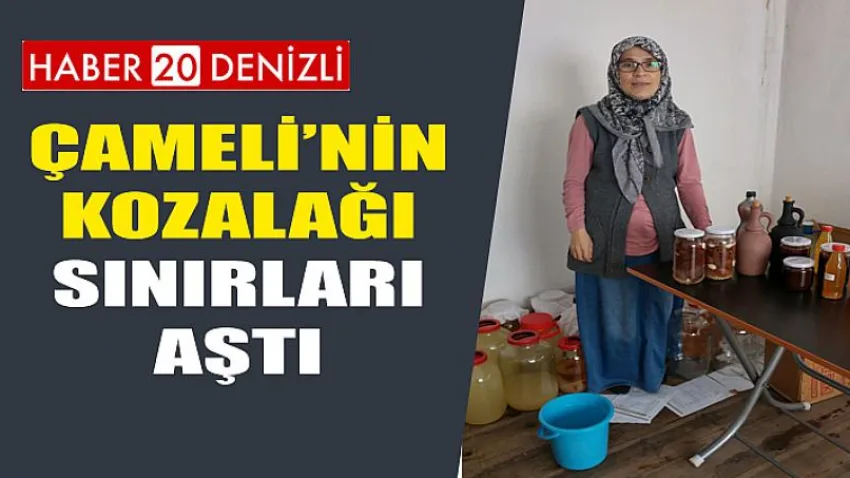 Çameli’nin Kozalağı Sınırları Aştı